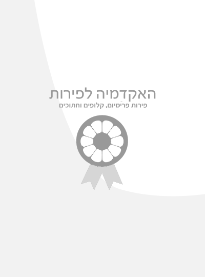 מגשי פירות לימי הולדת