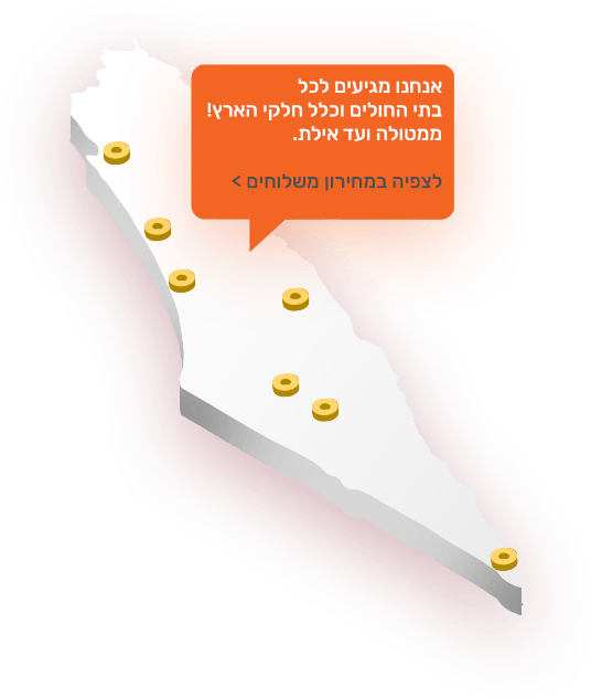 הזמנת סלסלת פירות בפריסה ארצית