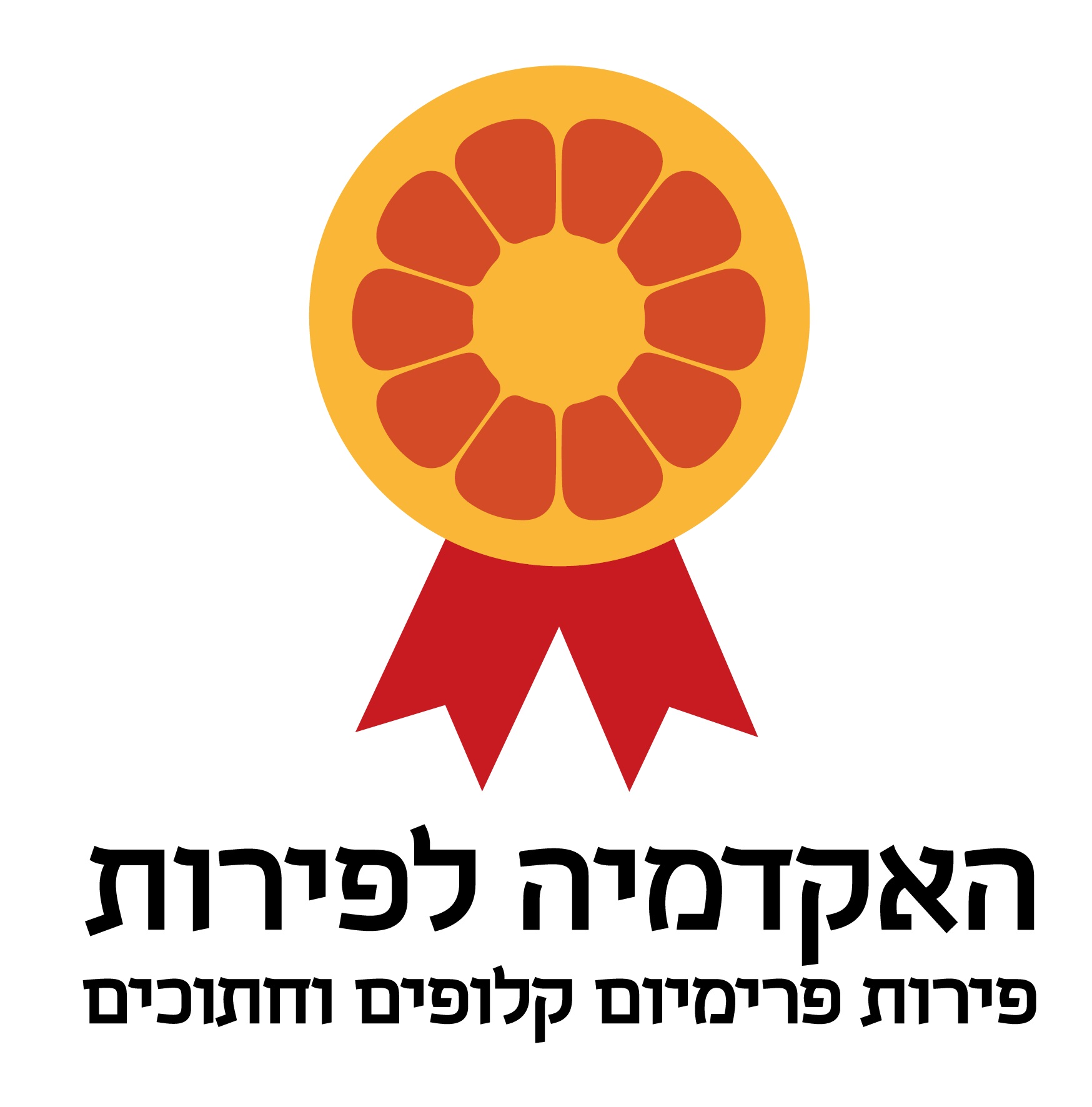 לוגו האקדמיה